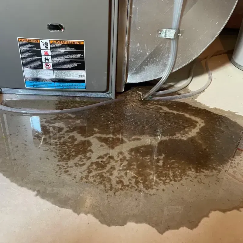 Appliance Leak Cleanup in Brownsboro, TX